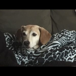 Meet your Posher, Patrick